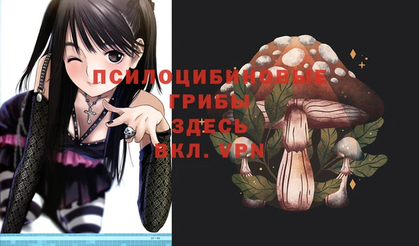 амф Покачи