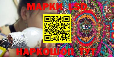 мдпв Гусев