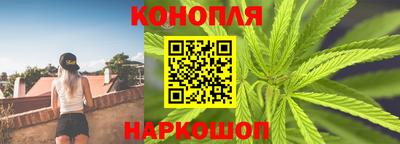 мдпв Гусев