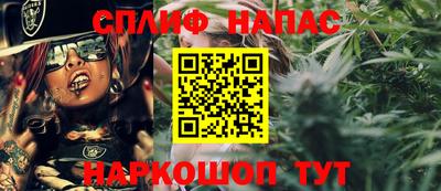 мдпв Гусев