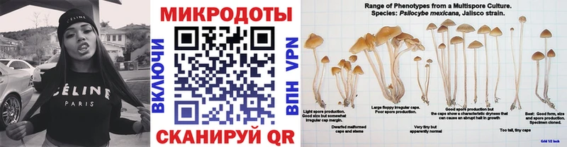 Галлюциногенные грибы ЛСД  Шуя 