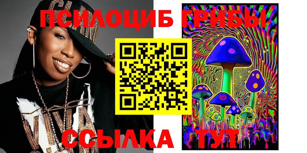 Шуя  Галлюциногенные грибы прущие грибы  Вход с VPN 