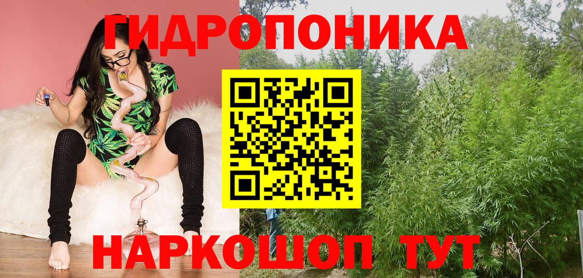 Шишки марихуана Ganja  Шуя  Каннабис OG Kush  Канабис Amnesia 